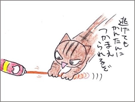 f:id:chai-ko:20181019202758j:plain