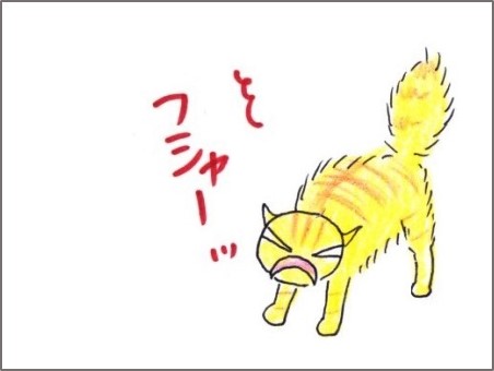 f:id:chai-ko:20181021190343j:plain