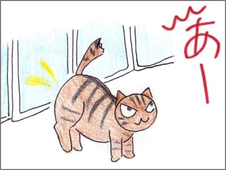 f:id:chai-ko:20181113200748j:plain