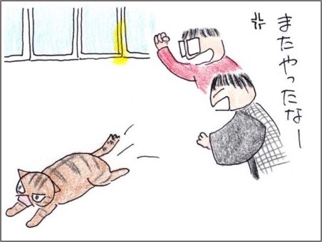 f:id:chai-ko:20181113200749j:plain