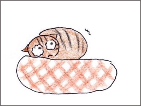 f:id:chai-ko:20181113200751j:plain