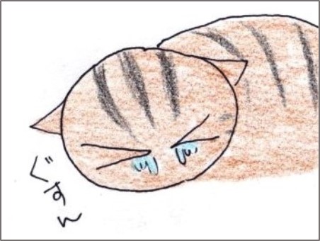 f:id:chai-ko:20181113200753j:plain