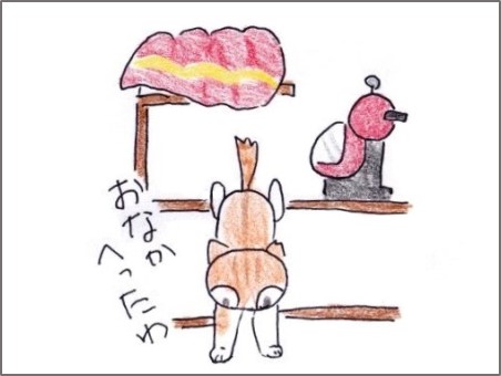 f:id:chai-ko:20181129200636j:plain
