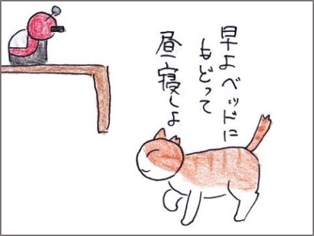 f:id:chai-ko:20181130210004j:plain