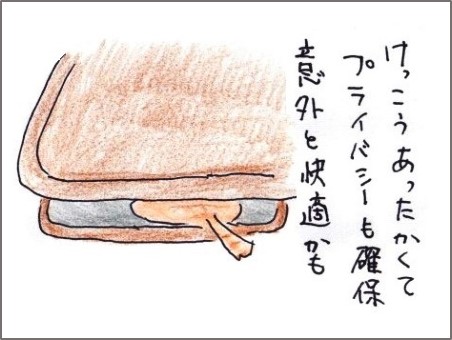 f:id:chai-ko:20181202190606j:plain