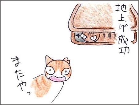 f:id:chai-ko:20181202190614j:plain