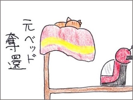 f:id:chai-ko:20181202190651j:plain