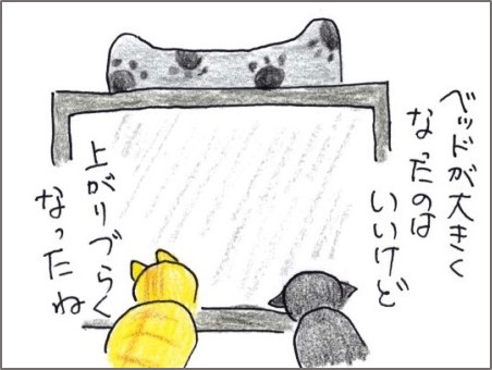 f:id:chai-ko:20181227203104j:plain