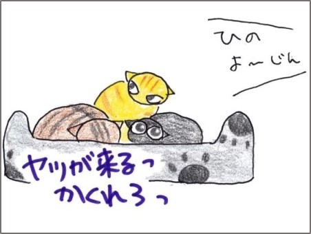 f:id:chai-ko:20181230191256j:plain
