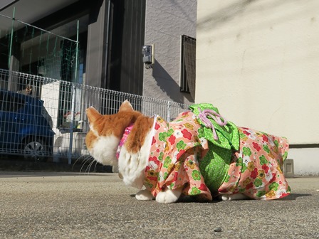 f:id:chai-ko:20190102195532j:plain