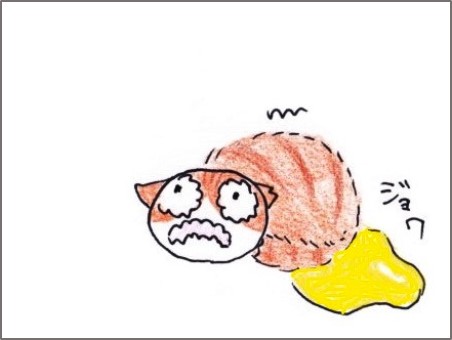 f:id:chai-ko:20190104203310j:plain