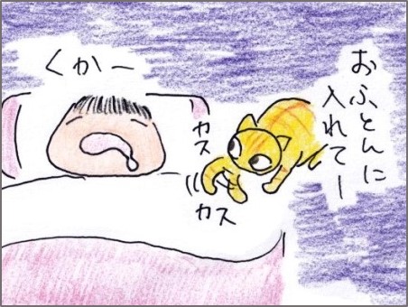 叩き起こす 何の変哲もないねこですが Ii