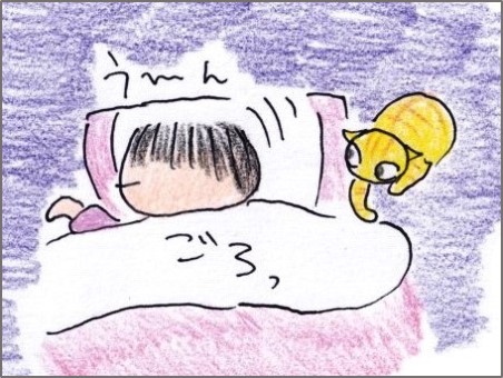 叩き起こす 何の変哲もないねこですが Ii