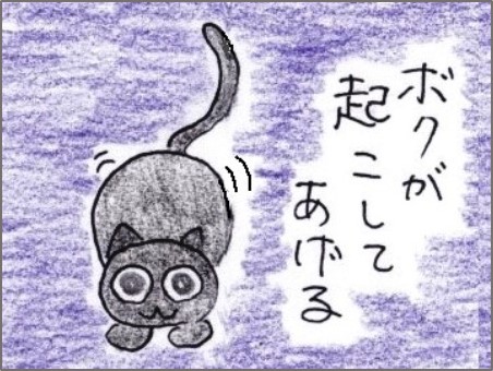 叩き起こす 何の変哲もないねこですが Ii