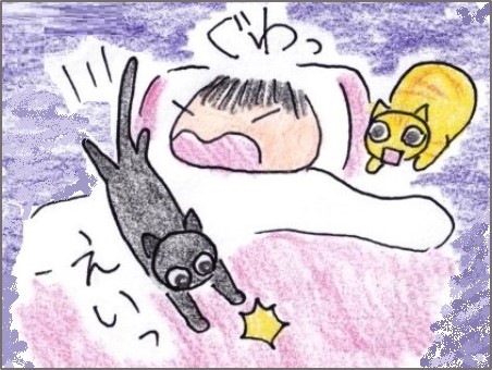 叩き起こす 何の変哲もないねこですが Ii