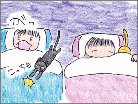 叩き起こす 何の変哲もないねこですが Ii