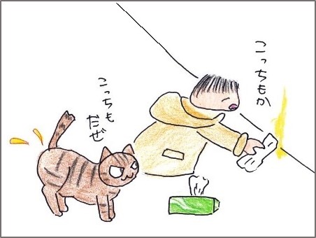 f:id:chai-ko:20190119204920j:plain