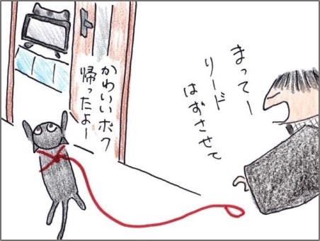 f:id:chai-ko:20190126203203j:plain