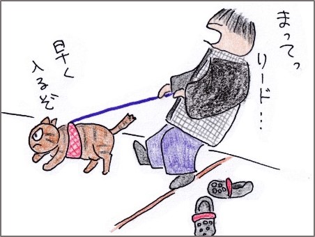 f:id:chai-ko:20190126203205j:plain