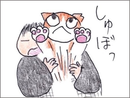 f:id:chai-ko:20190130190900j:plain