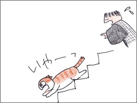 f:id:chai-ko:20190130190903j:plain