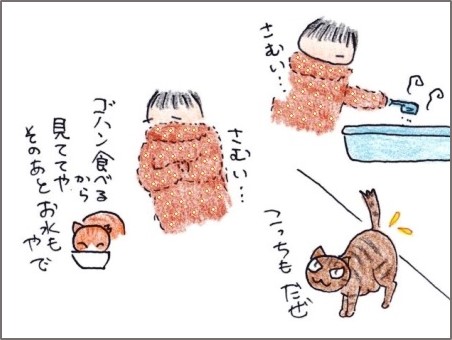 f:id:chai-ko:20190210210208j:plain