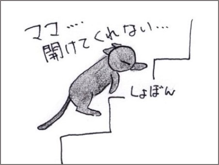 f:id:chai-ko:20190211200003j:plain