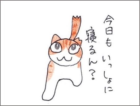 f:id:chai-ko:20190316201043j:plain