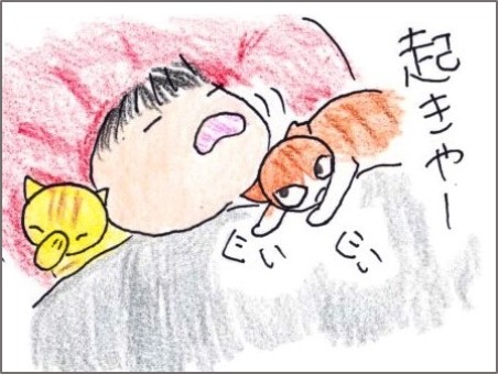 f:id:chai-ko:20190323201154j:plain