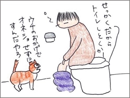 f:id:chai-ko:20190323201302j:plain