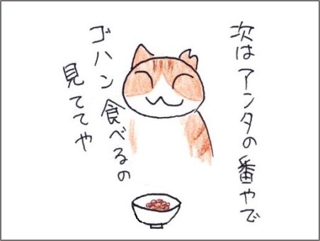 f:id:chai-ko:20190323201355j:plain