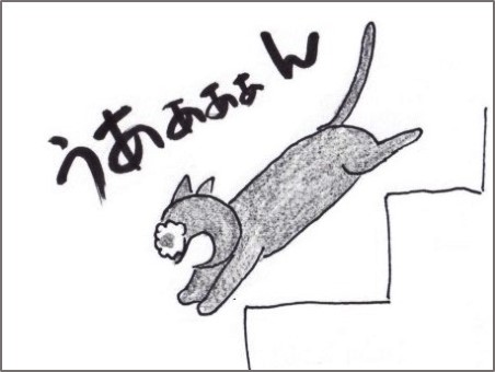 f:id:chai-ko:20190406135904j:plain