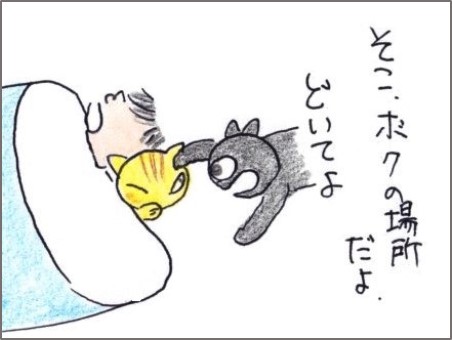 f:id:chai-ko:20190407200643j:plain