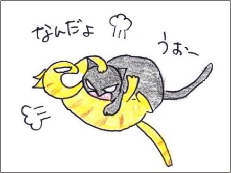 f:id:chai-ko:20190407200646j:plain