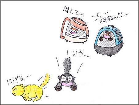 f:id:chai-ko:20190427195302j:plain