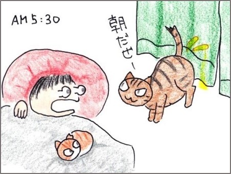 f:id:chai-ko:20190501204506j:plain