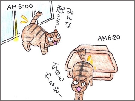 f:id:chai-ko:20190501204844j:plain