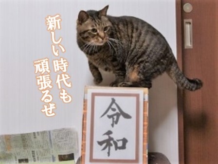 f:id:chai-ko:20190501204856j:plain