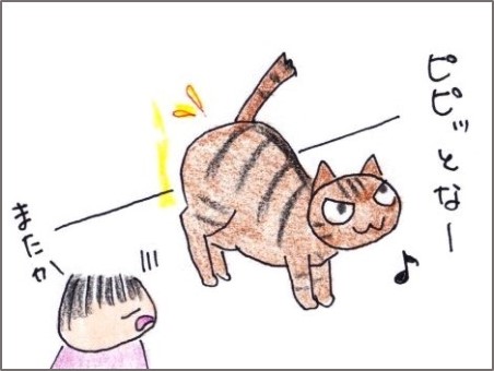 f:id:chai-ko:20190521205803j:plain