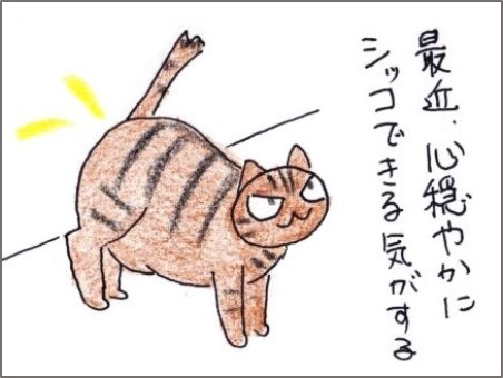 f:id:chai-ko:20190608204206j:plain