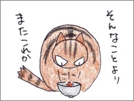 f:id:chai-ko:20190608204208j:plain