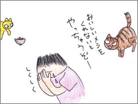 f:id:chai-ko:20190608204213j:plain