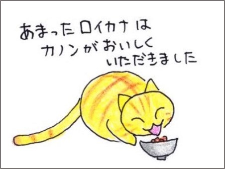 f:id:chai-ko:20190608204301j:plain