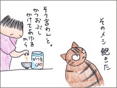 f:id:chai-ko:20190609200054j:plain