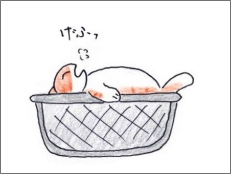 f:id:chai-ko:20190609200223j:plain