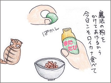 f:id:chai-ko:20190610201204j:plain