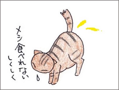 f:id:chai-ko:20190610201241j:plain