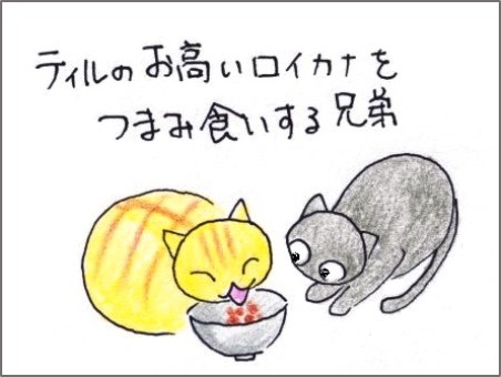f:id:chai-ko:20190611200617j:plain