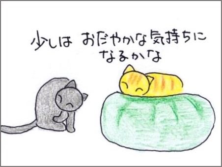 f:id:chai-ko:20190611200618j:plain