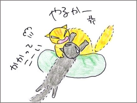 f:id:chai-ko:20190611200624j:plain